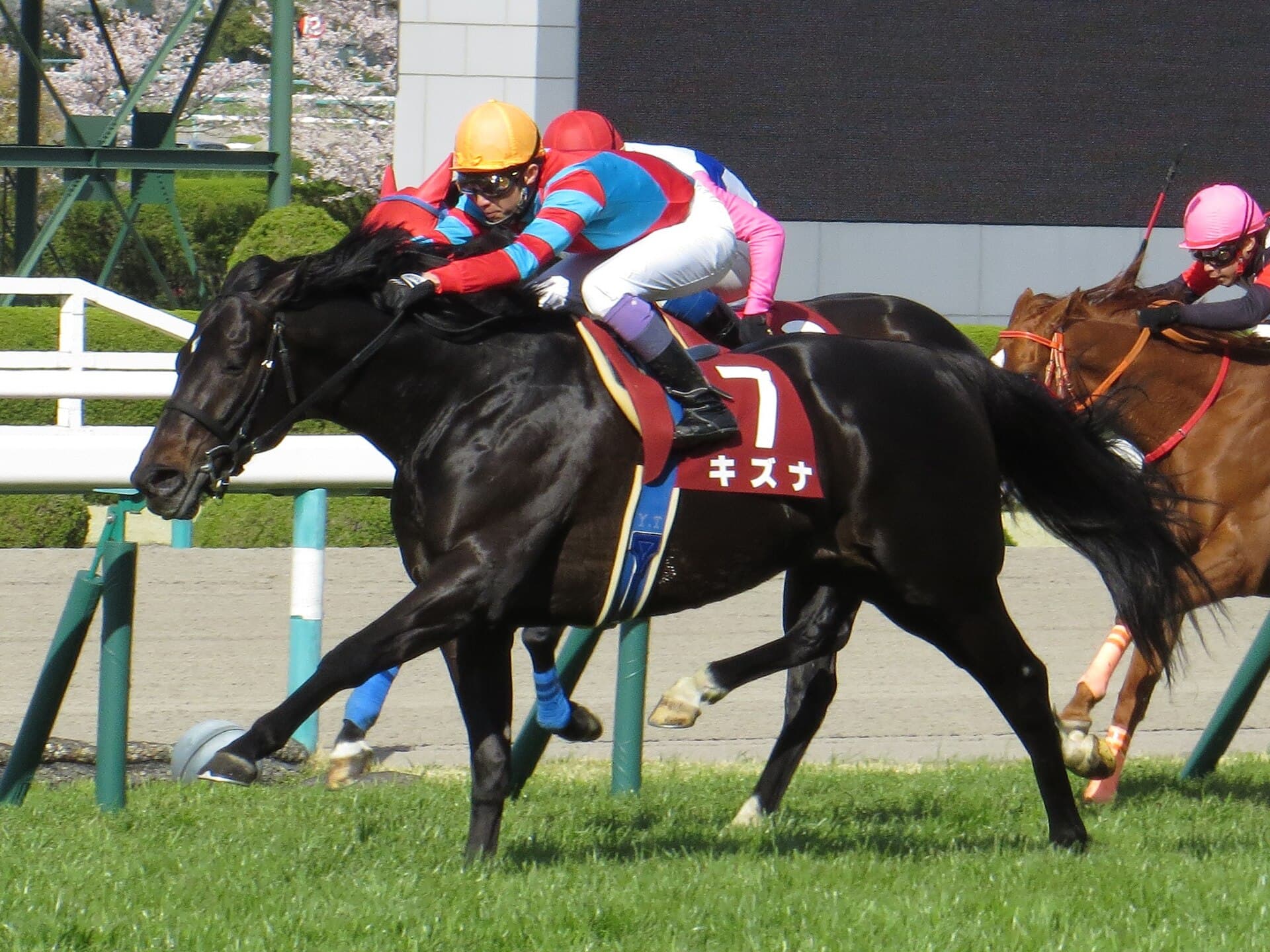 Japan’s sire race tightens as Kizuna, Kitasan Black, Lord Kanaloa duel