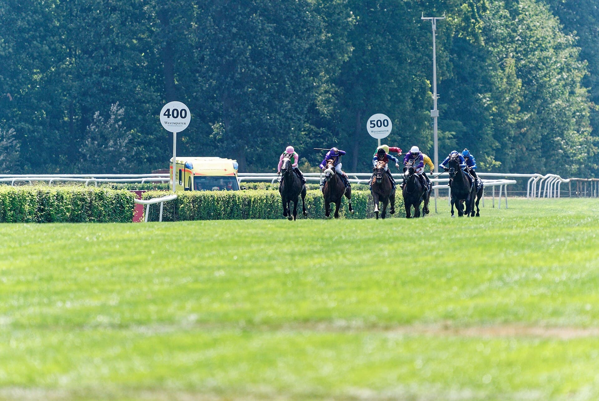 Rebel’s Romance faces Convergent as Newmarket ground tests Prince of Wales’s Stakes