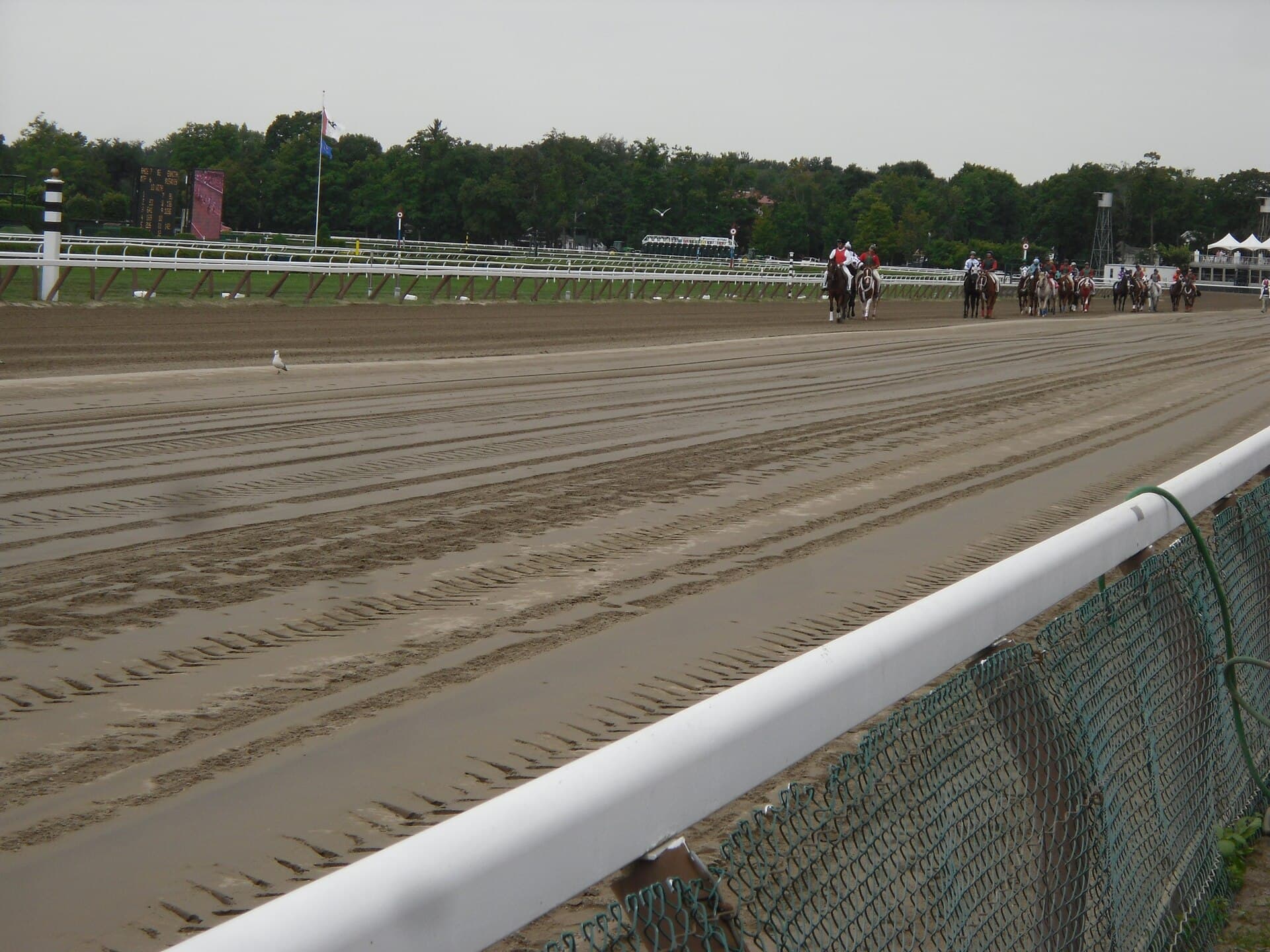 Saratoga Race Course — Wikimedia Commons