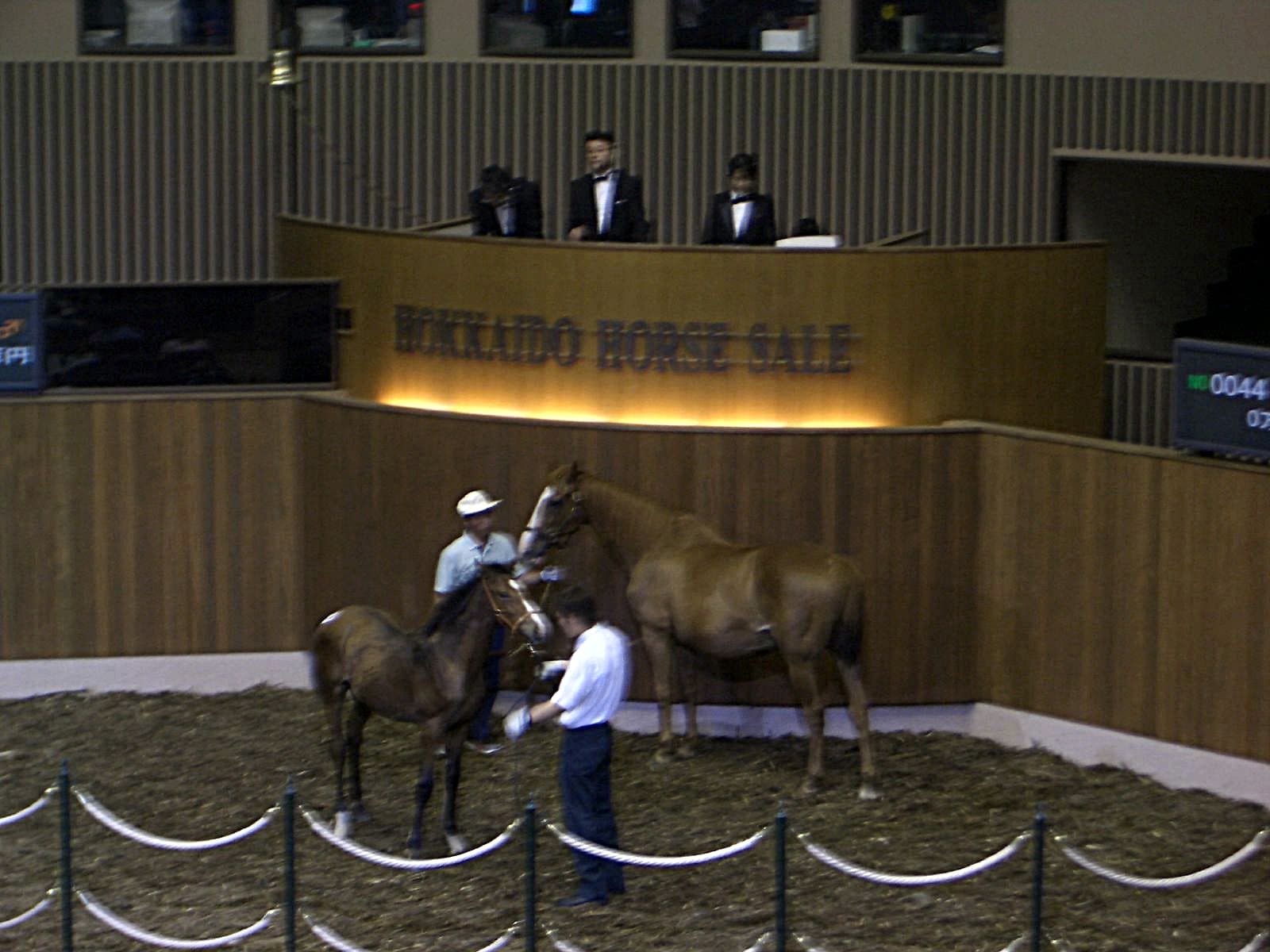 JRHA Select Sale — Wikimedia Commons
