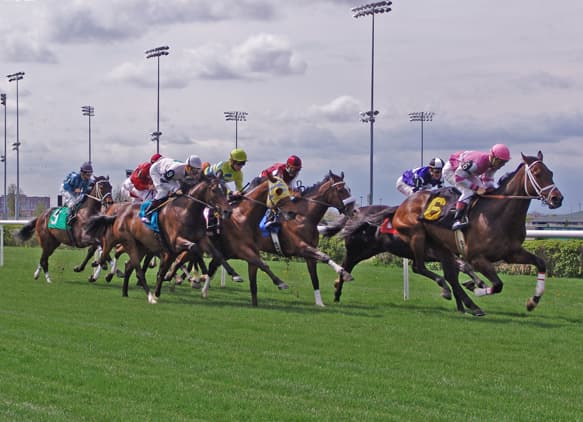 E.P. Taylor Turf Course — Wikimedia Commons