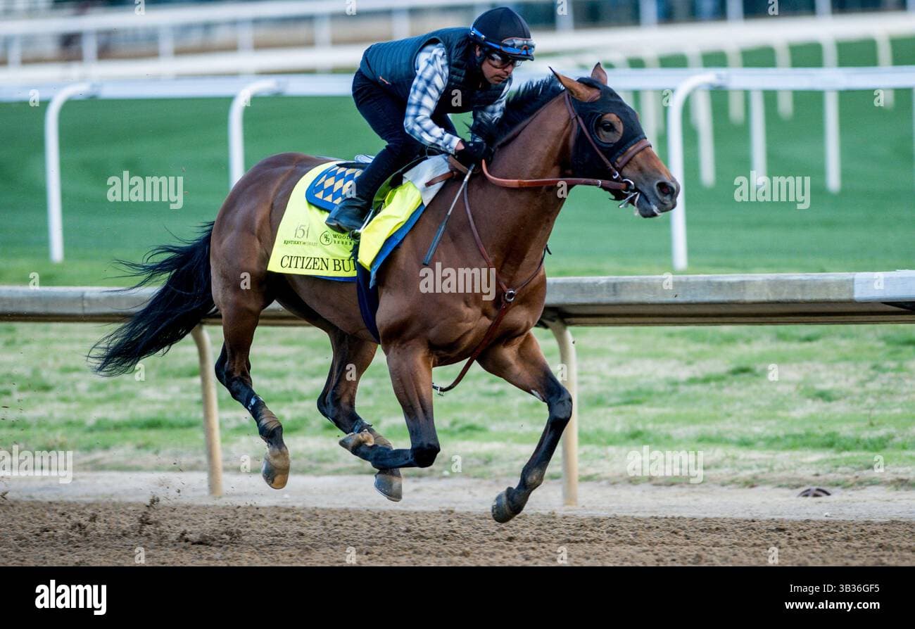 Baffert sends Madaket Road, Cornucopian into Aristides Stakes at Churchill Downs