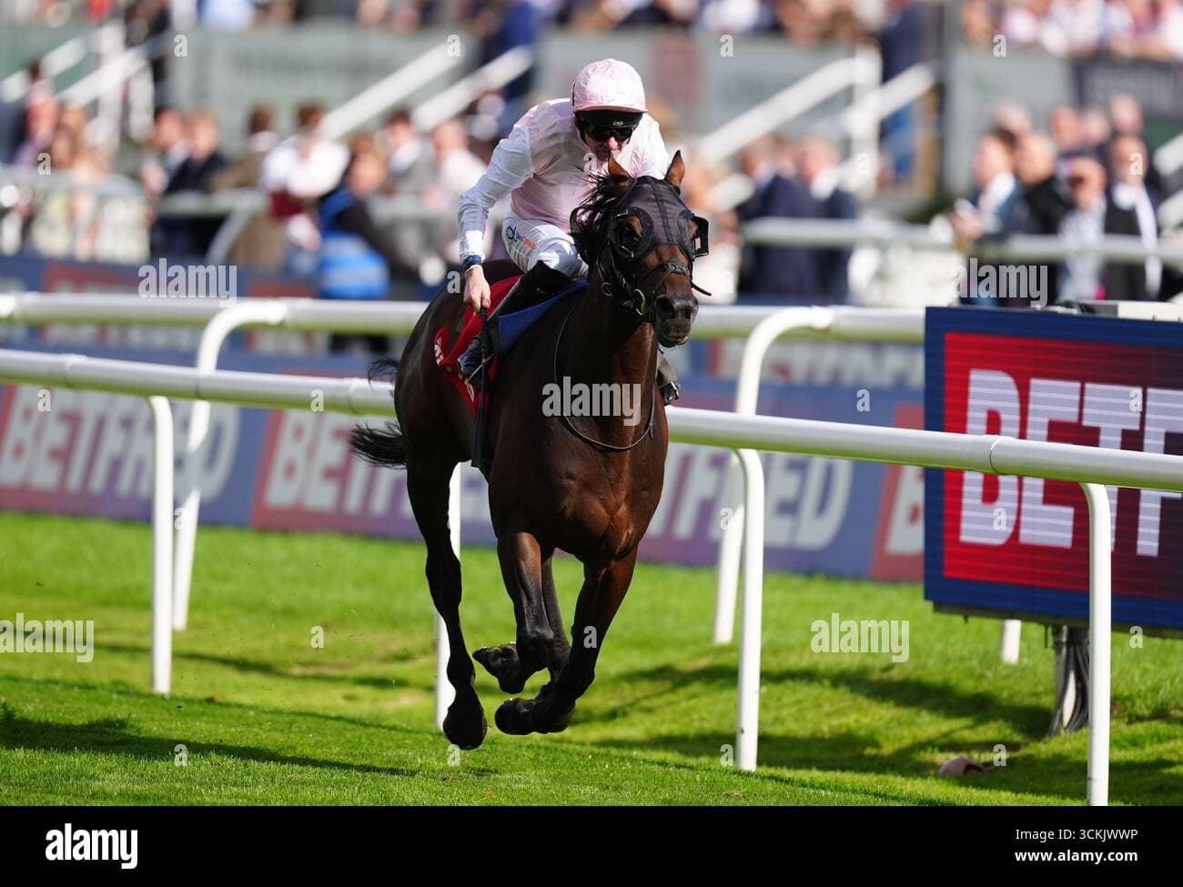 Dual Doncaster Cup winner Sweet William retires after durable career