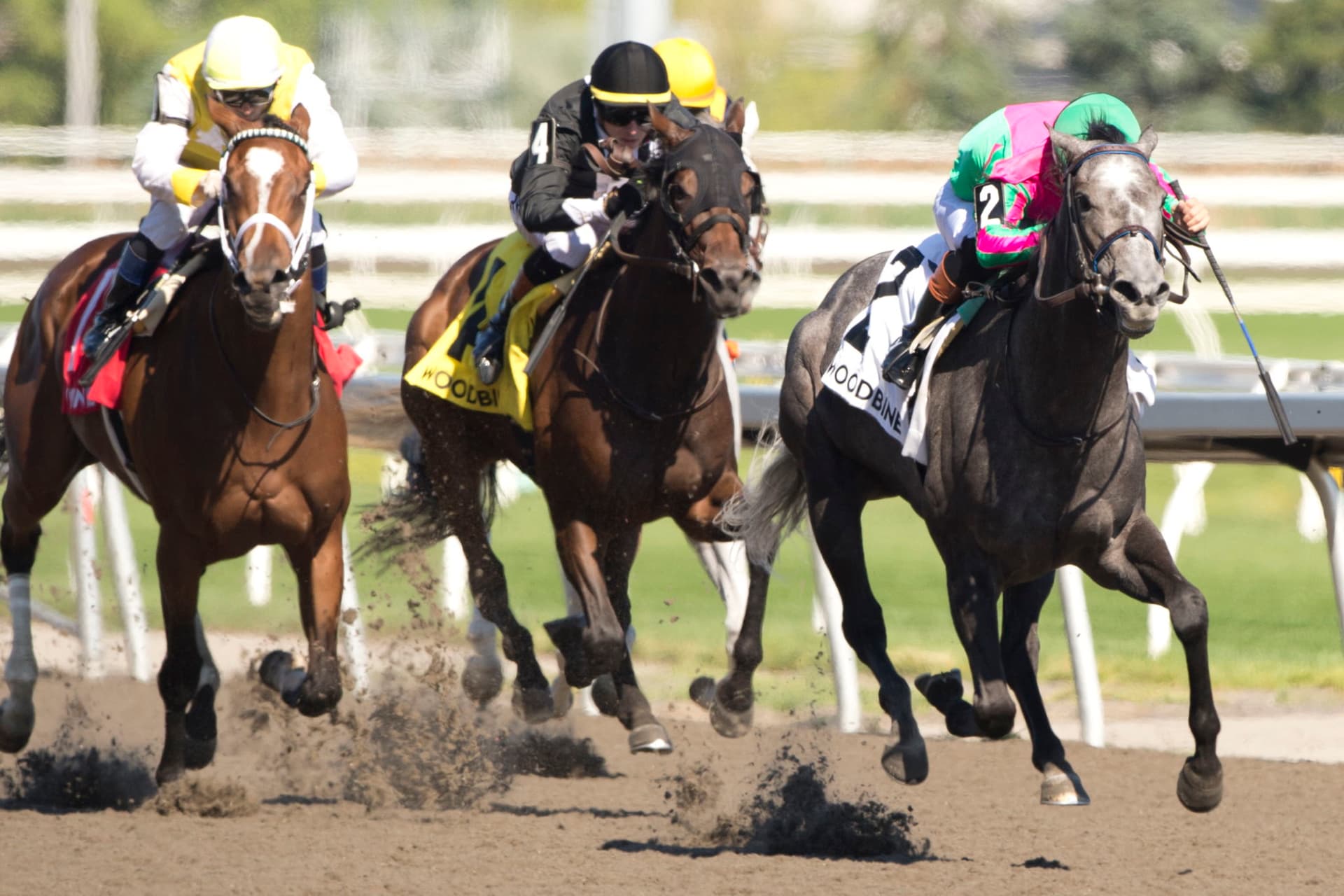 Luster rebounds on Tapeta to win Selene Stakes at Woodbine