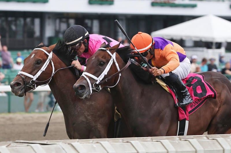 Cairo Surprise leads My Frenchman Stakes field at Monmouth Park
