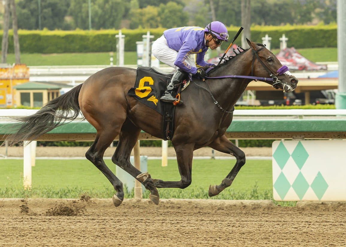 He Is No Lie flashes, fastest 4 1/2-furlong debut in five years