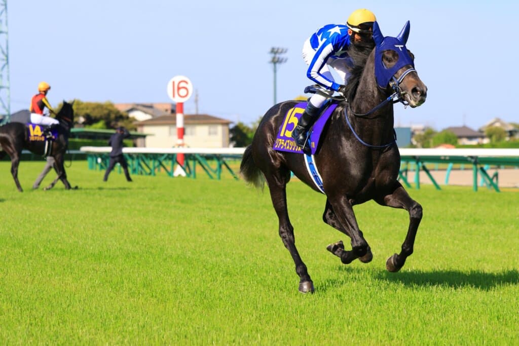 Tsumura cleared to ride Realize Sirius in Japanese Derby despite injury