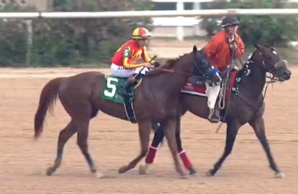Desert Gate powers to 6 1/4-length Texas Derby win for Baffert