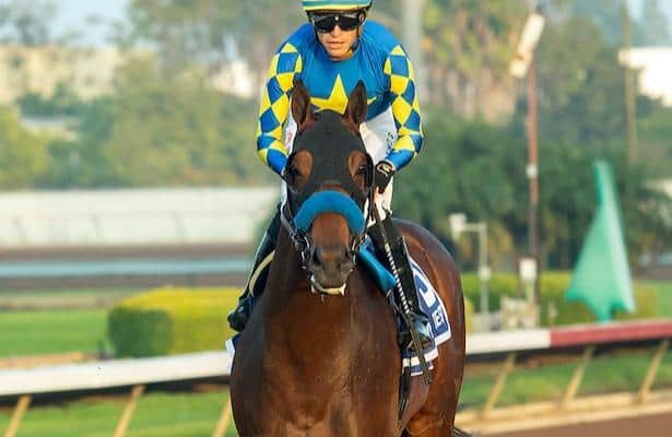 Litmus Test joins rescheduled Affirmed Stakes after Delaware Derby scratch
