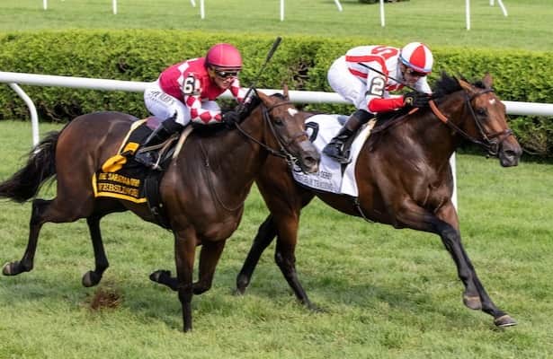 Program Trading snaps yearlong skid in Monmouth Stakes win