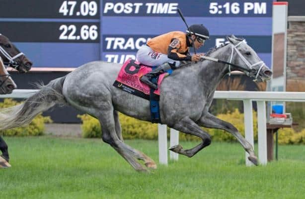 Seminole Chief edges Encino in Schuster Memorial turf stakes win