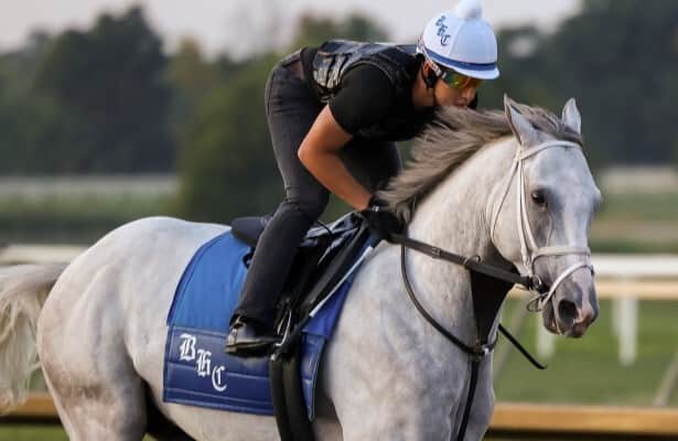 Dragoon Guard leads wide-open Hanshin Stakes at Churchill Downs