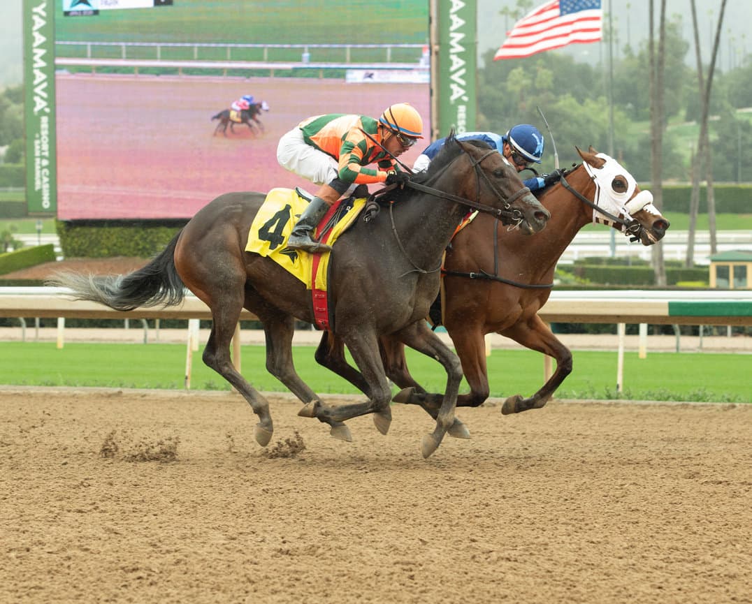 Mizumi faces Marjoram in key Summertime Oaks showdown at Santa Anita