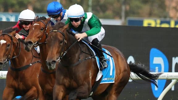 Munce stable chases Tattersall’s Tiara with in-form mares
