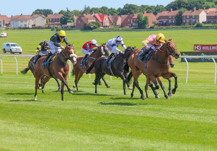 Curious Rover strikes at Ayr after dropping to a winning mark