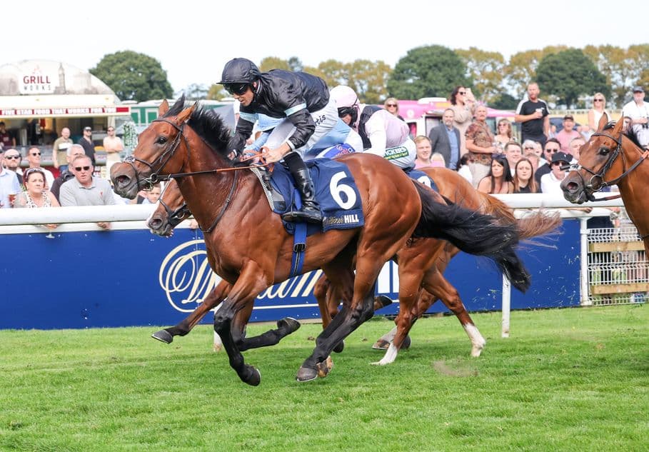 Kerdos returns to winning ways at Dundalk in late surge