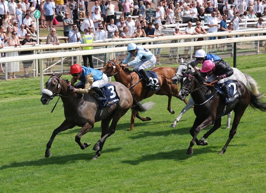Flora Of Bermuda rebounds at York to regain Summer Stakes crown