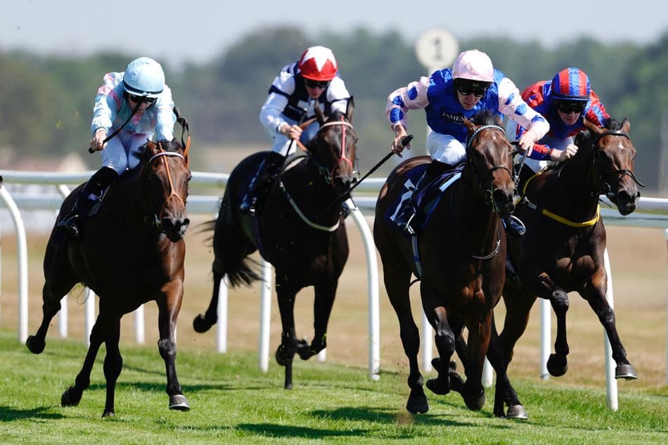 Sheer Beauty wins Bath maiden by a nose after late surge