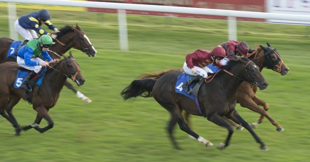 Crafty Spirit lands Beverley sprint, continues late-season revival