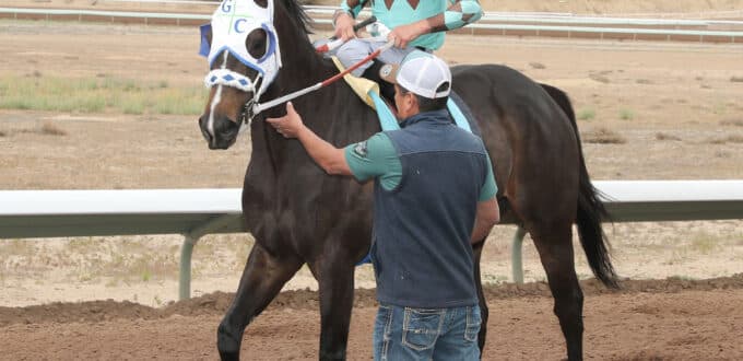 Barossa adds another stakes win in San Juan County Commissioners Stakes