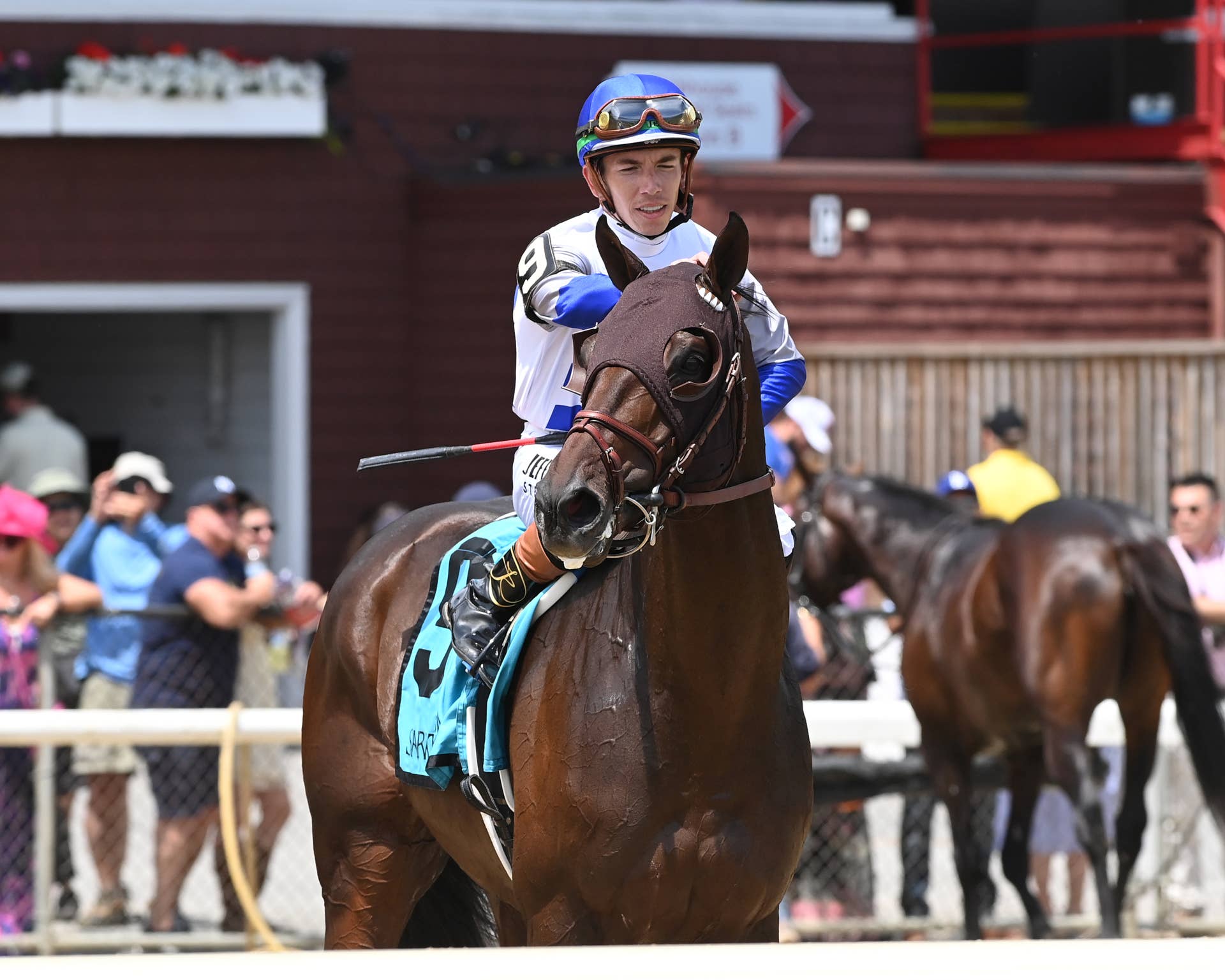 Luminous Beauty seeks stakes debut breakthrough in Schuylerville