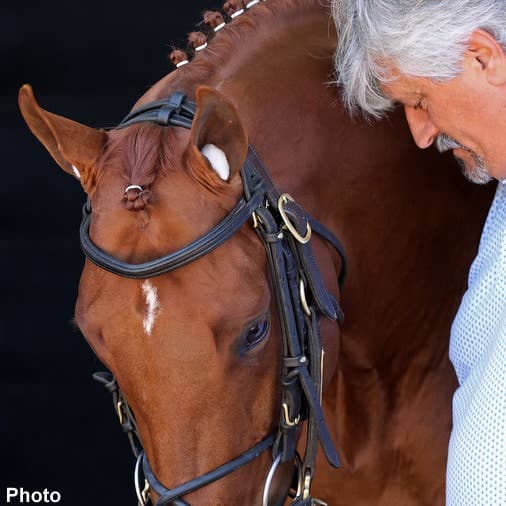 Asmussen seeks sixth Debutante Stakes win with Epic Reign
