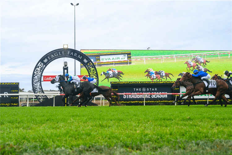 Jimmysstar aims to end winless run in Kingsford Smith Cup