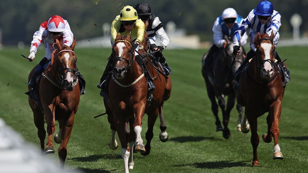 Zeus Olympios lands Ascot Summer Mile, Burke eyes bigger targets