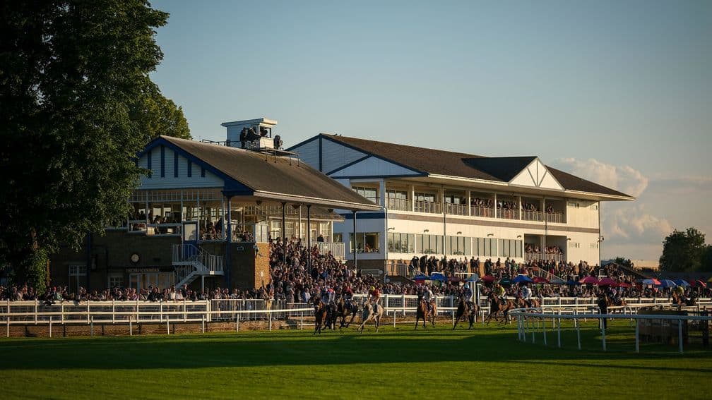 Serengeti springs 50-1 upset at Windsor for Mike Murphy