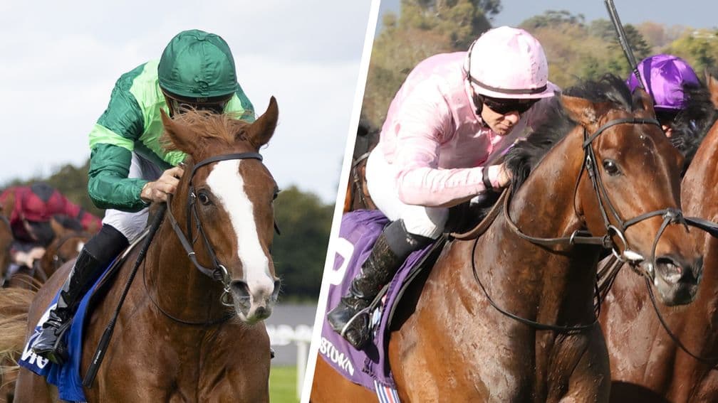 Irish Derby set for Ballydoyle rematch between Benvenuto Cellini and Christmas Day