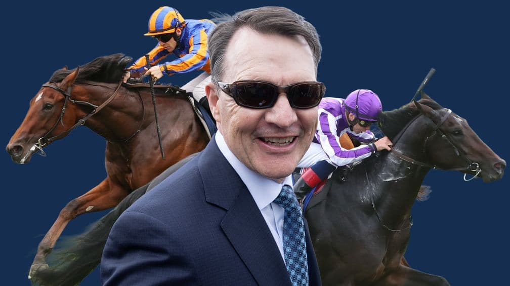 O'Brien raises Eclipse stakes as Constitution River and Hawk Mountain clash