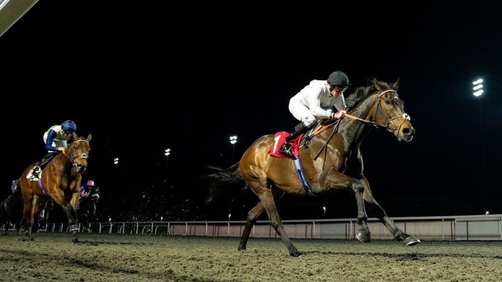 Constitution Hill set for Windsor August Stakes return