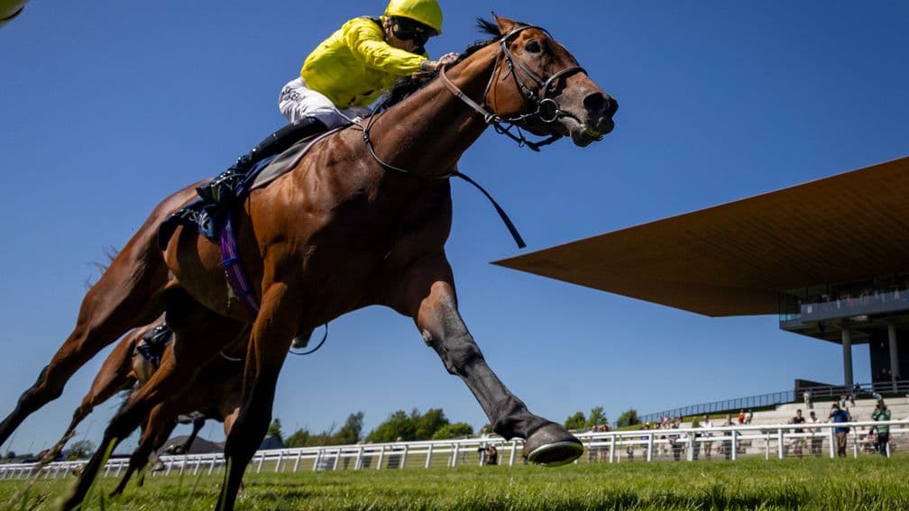 Almaqam stuns in Tattersalls Gold Cup as Walker lands first Irish win