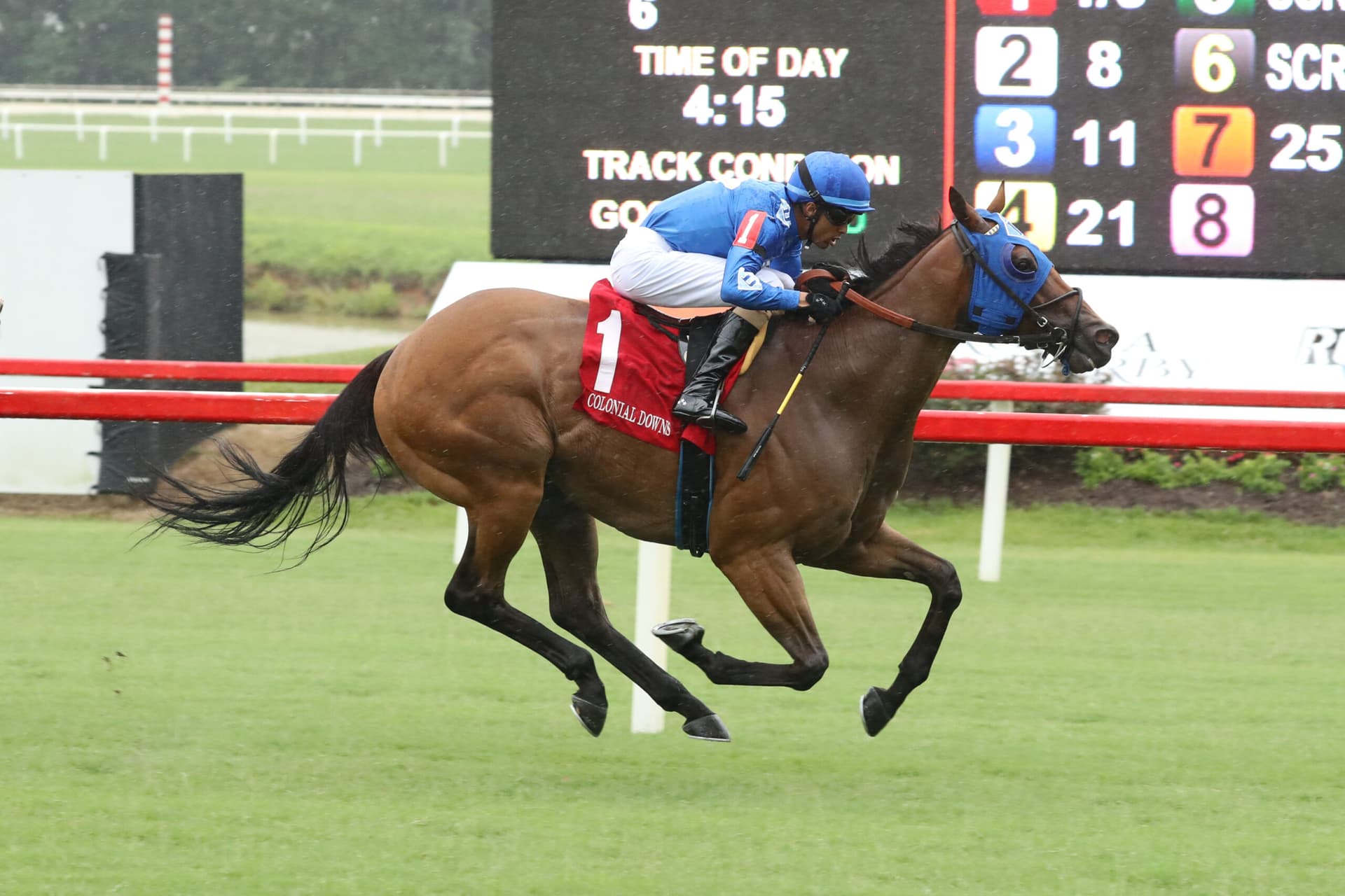 Determined Kingdom aims for fourth Punch Line Stakes victory at Colonial Downs