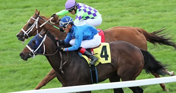 Knick’s Honor wins Canterbury Derby, earns first stakes victory