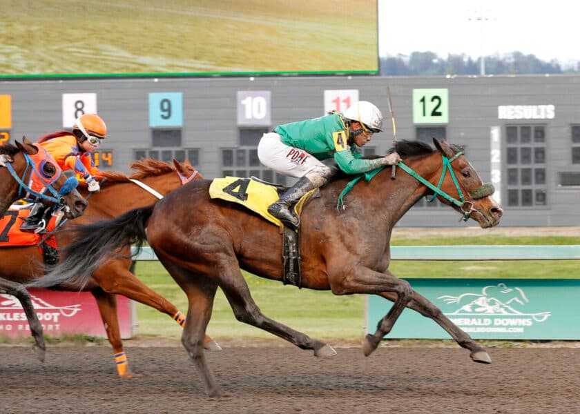 Storm Harbor targets Emerald Downs allowance after debut romp
