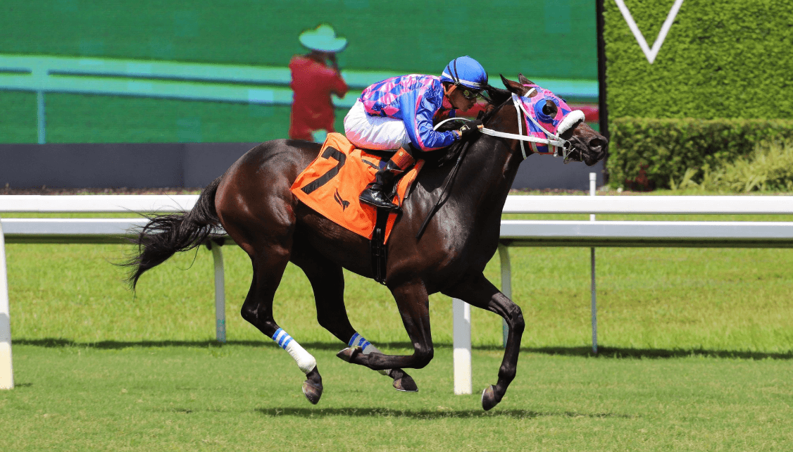 Road To Midnight powers clear at Gulfstream, boosts Roadster’s sire start
