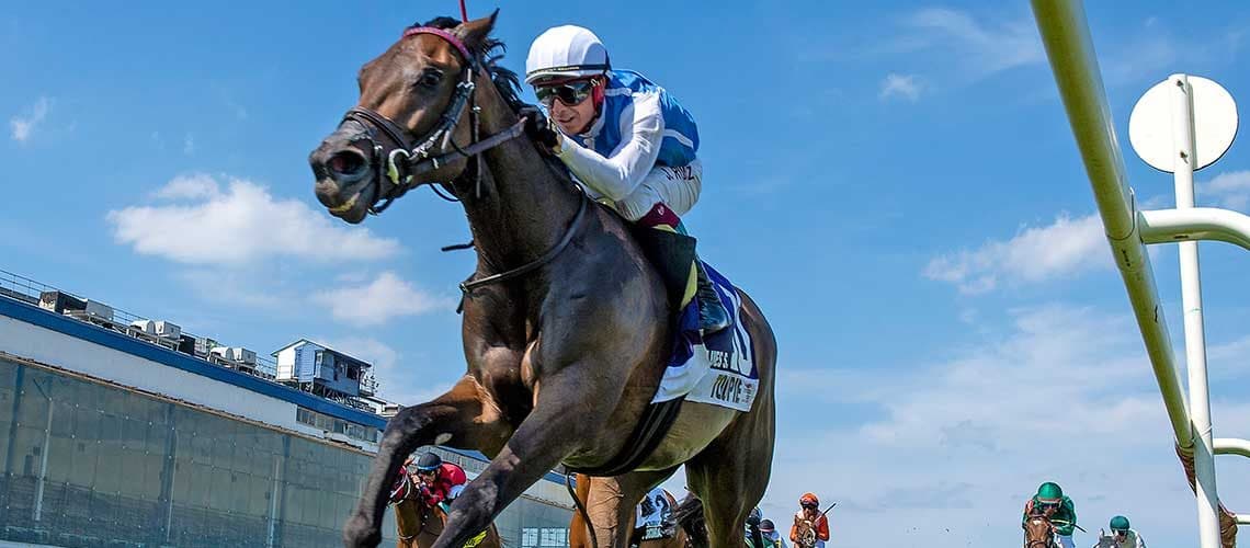 Hark Theangelssing closes late to win Stormy Blues at Laurel Park