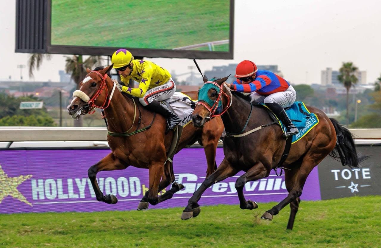 Michel gets Durban July chance after late Curious Girl call-up