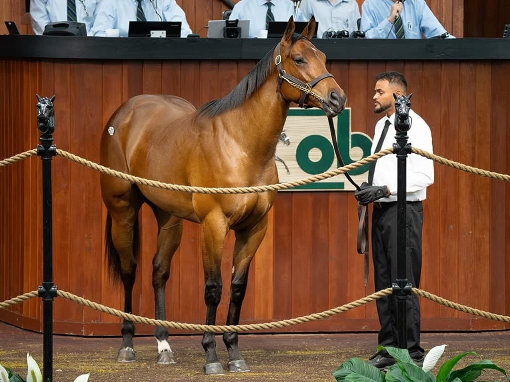 Antiope gives Jackie's Warrior first winner at Colonial Downs