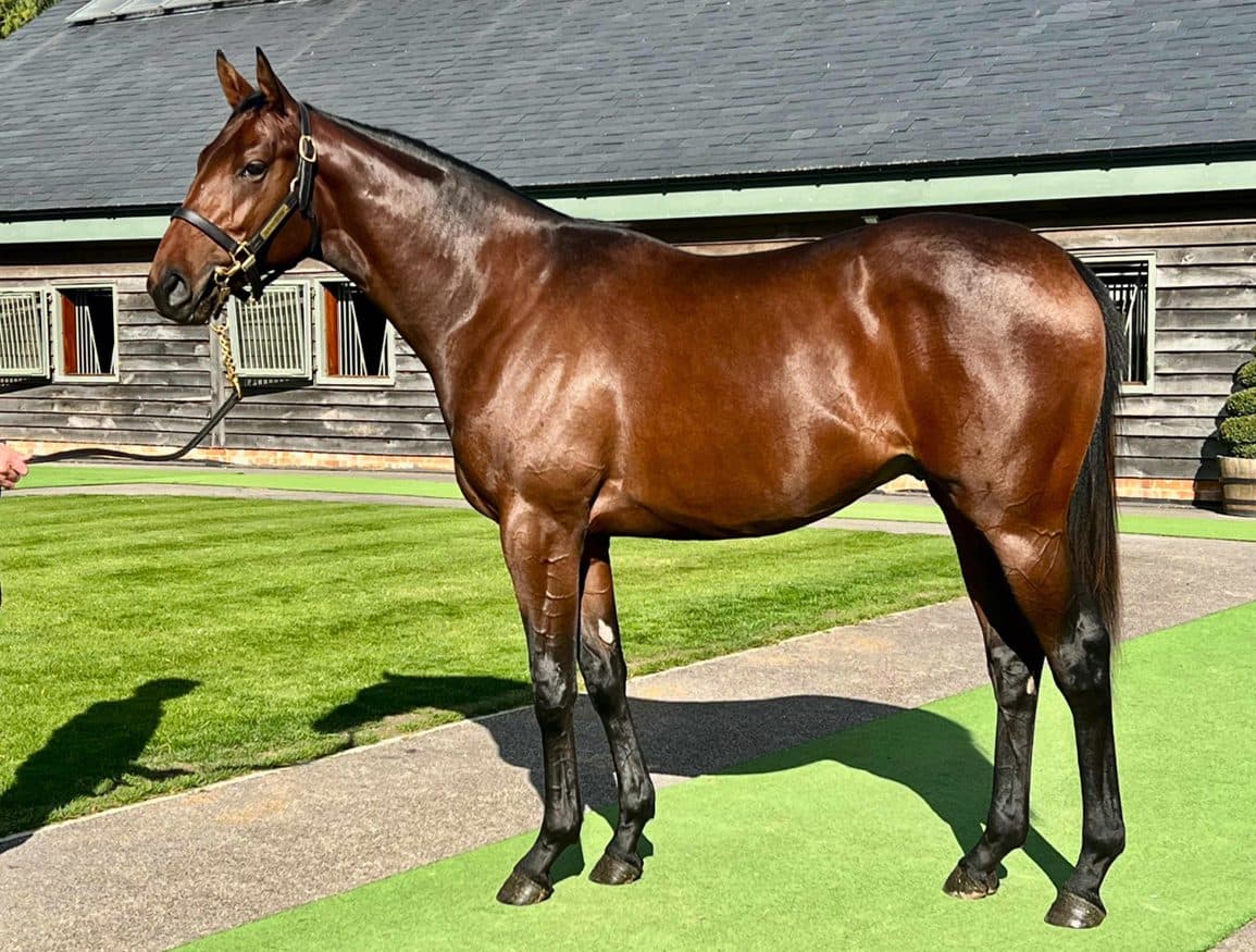 Echo Of Stars impresses at Chepstow, targets Royal Ascot next