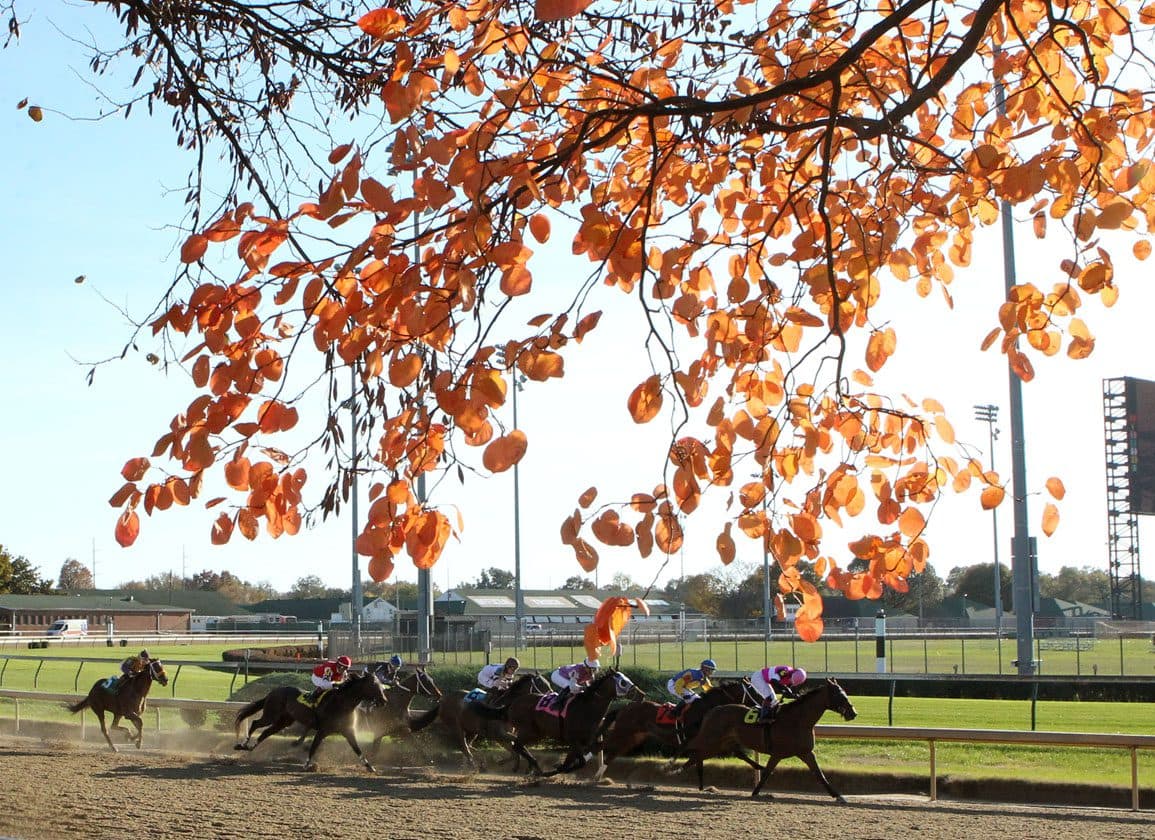 The Jockey Club awards five scholarships to grow Thoroughbred workforce