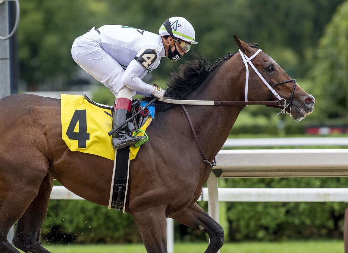 Georgie's Warrior romps in debut, hints at bright New York-bred future
