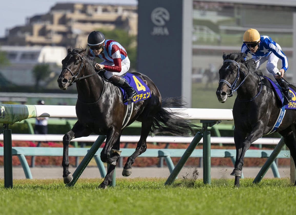 Lovcen looms as favorite for Tokyo Yushun after Satsuki Sho win
