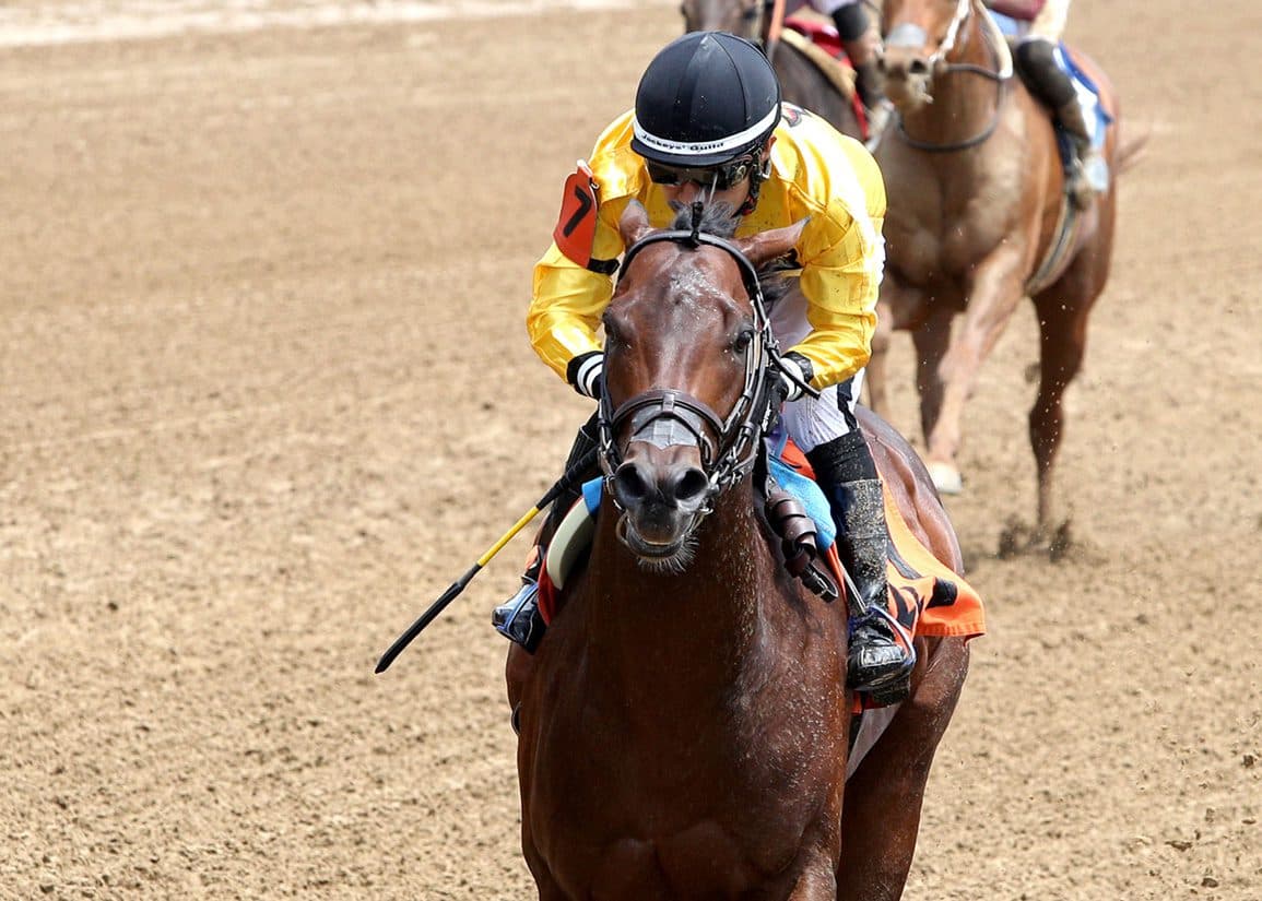 Hey Tuff Guy dominates Churchill maiden, earns Rising Star status