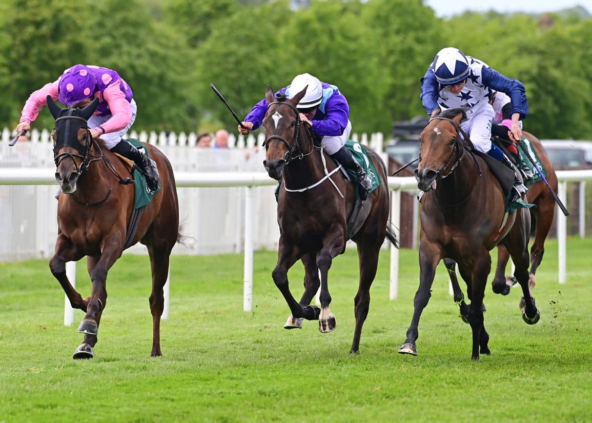 Havana Anna lifts breeders’ spirits with Goffs Lacken Stakes win