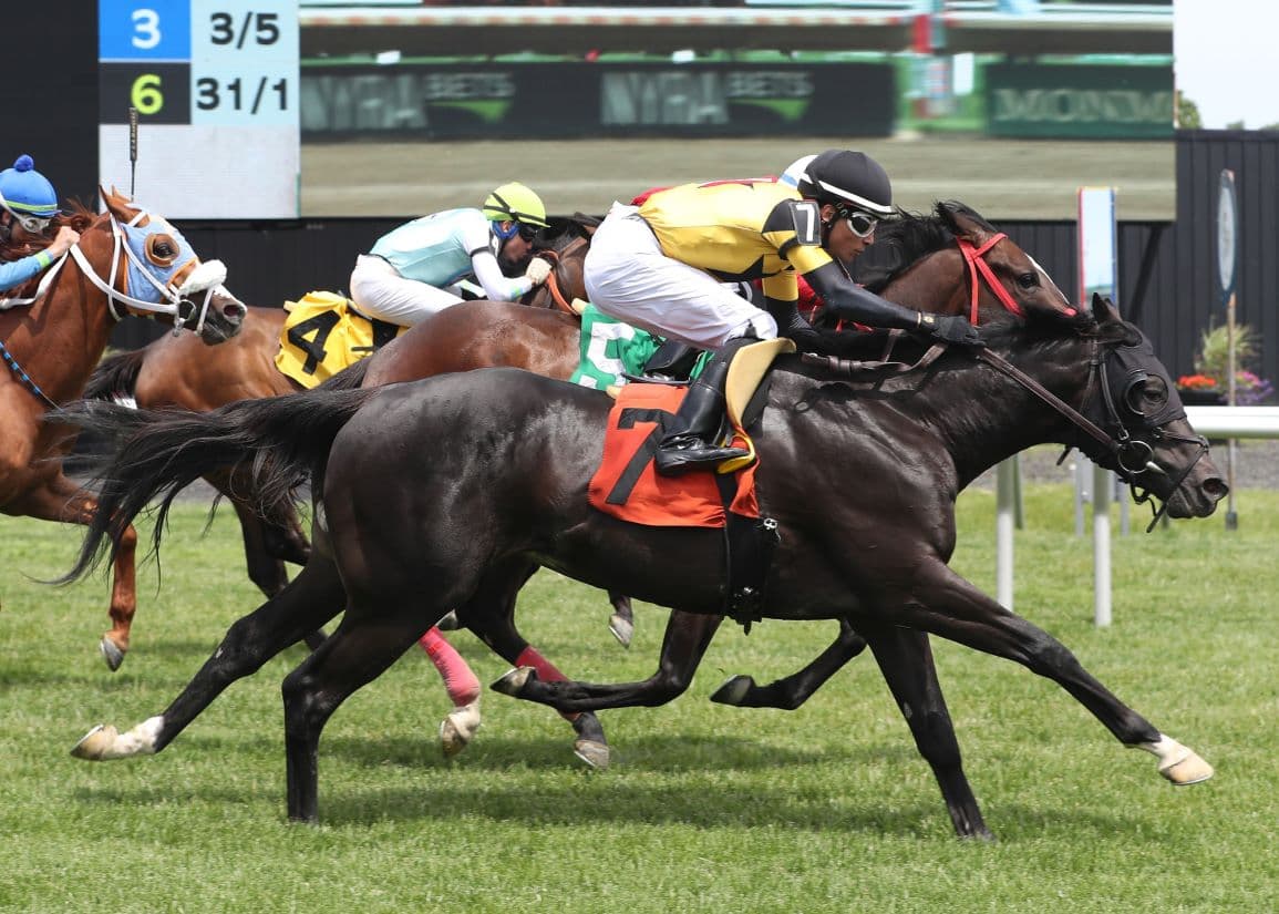 If Ever rallies from last to win Monmouth turf maiden by a nose