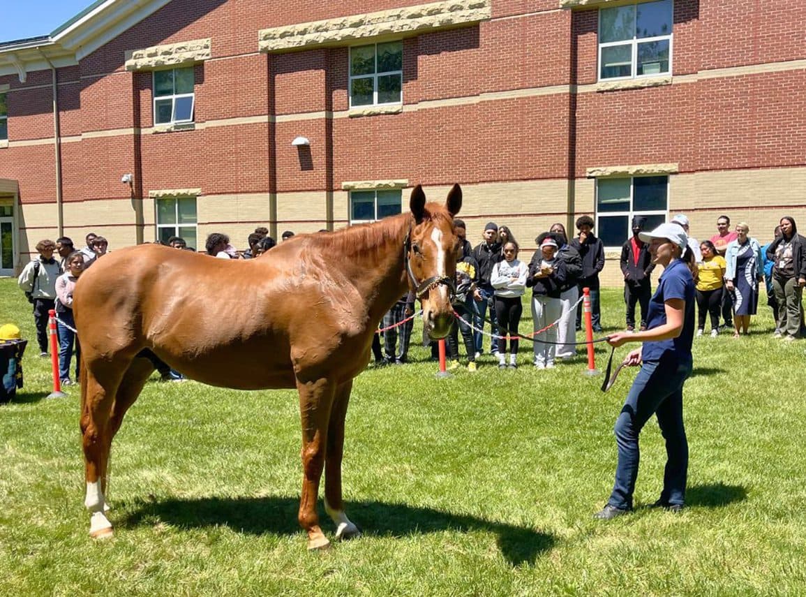 Amplify Horse Racing brings Grade I winner United to Lexington high school