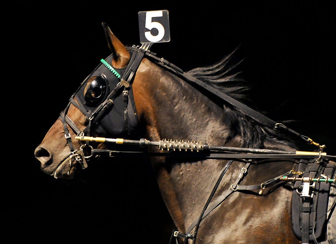 Reins of Hope auction opens to help Saratoga barn fire victims