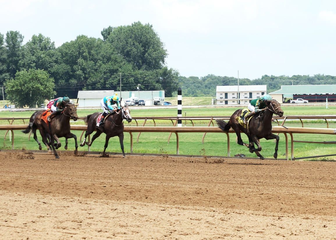 Scarlett Begonia gives Life Is Good second TDN Rising Star